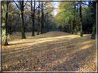 foto Parco Karlsaue in Autunno